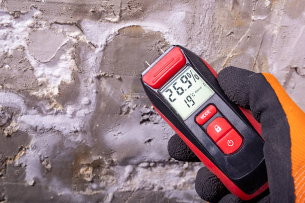 Best Office Mold Removal Services  in Palisades Park, NJ